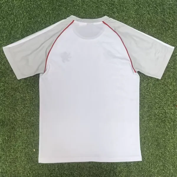 2025-26 Lyon Grey Fans Training shirts
