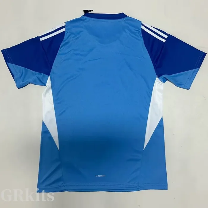 2025-26 JUV Blue Goalkeeper Soccer Jersey