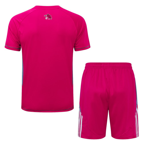 2025-26 Flamengo Pink Training Short Suit #D25153