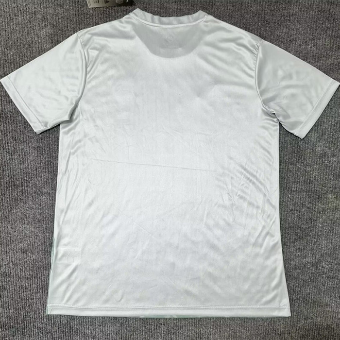 2024-25 Algeria Light Green Special Edition FansTraining shirts