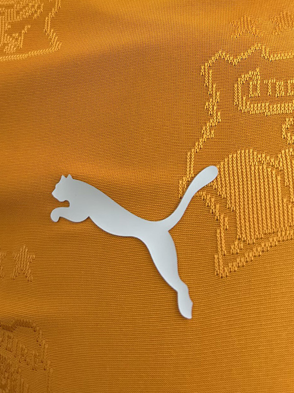 24-25 Ivory Coast Orange Special Edition Player Version Training Shirts