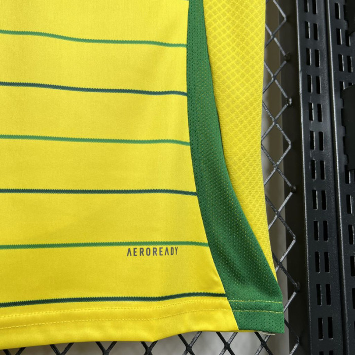 24-25 Celtic Away Fans Soccer Jersey