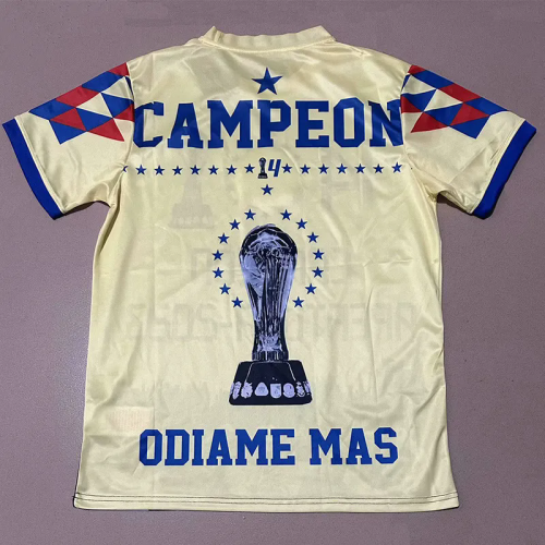 25-26 Club America 14 Champion Training shirts