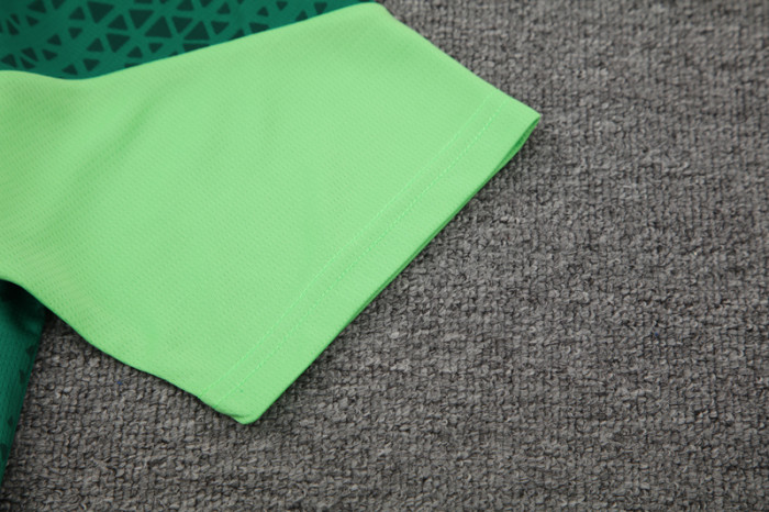 24-25 Palmeiras Green Training Short Suit