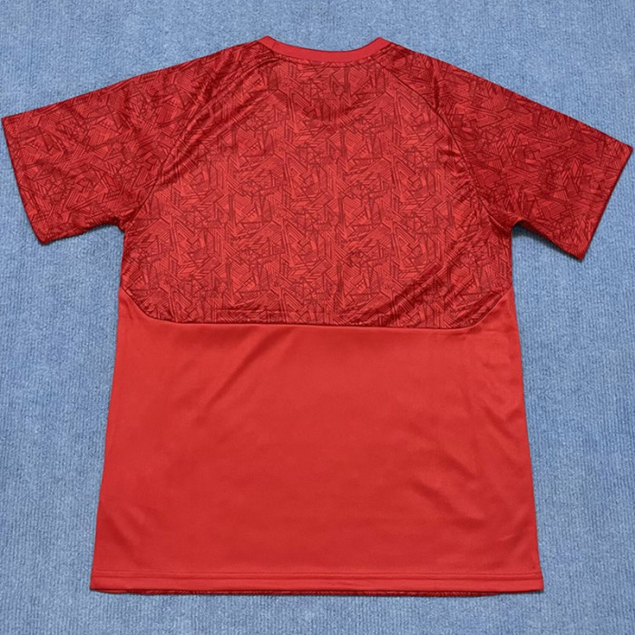 24-25 Fluminense Red Training shirts