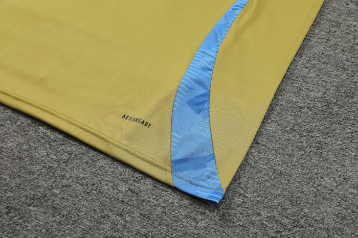 24-25 Argentina Earthy Gold Tank top and shorts suit