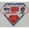 EFL Championship (25英冠章