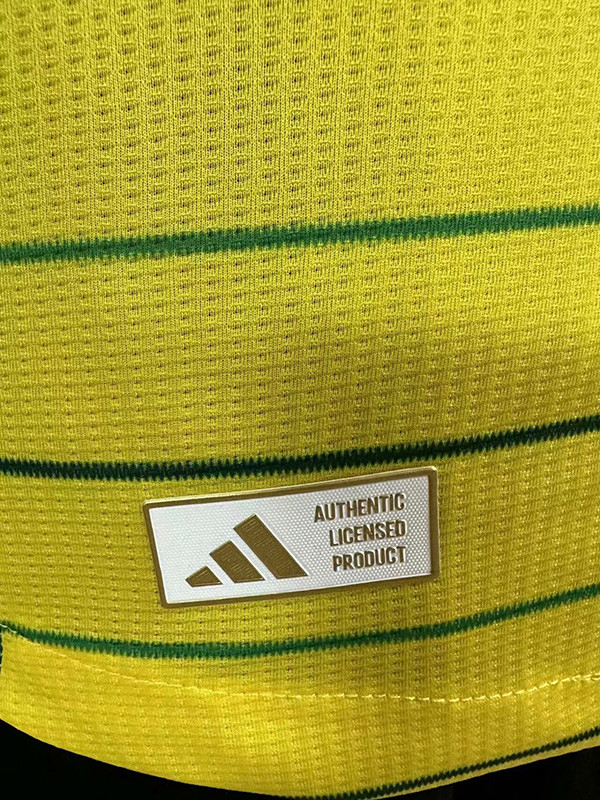 24-25 Celtic Away Player Version Soccer Jersey