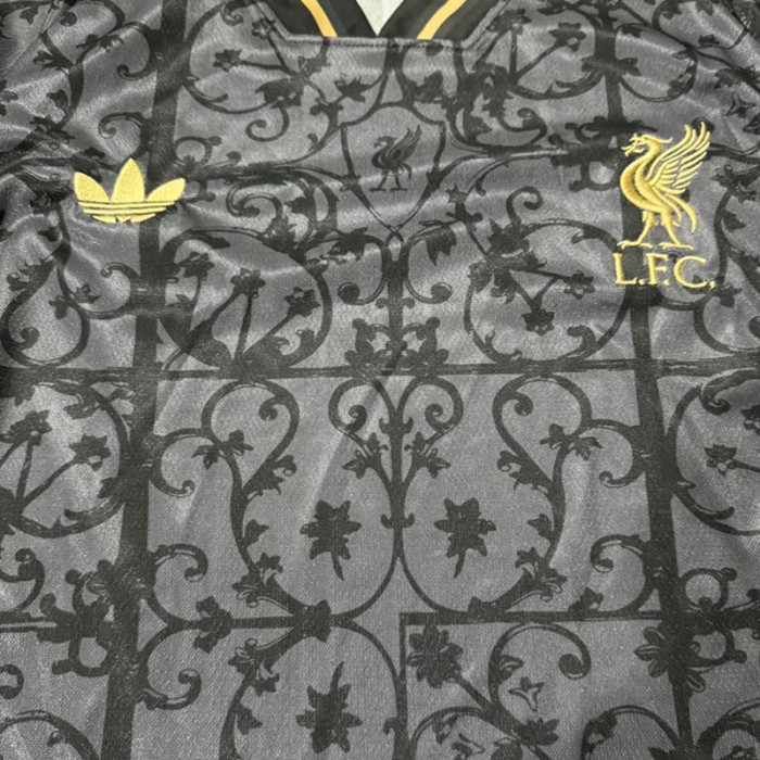 2025-26 LIV Grey Black Special Edition Training shirts