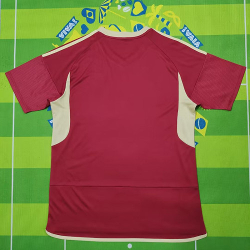 24-25 Venezuela Home Fans Soccer Jersey