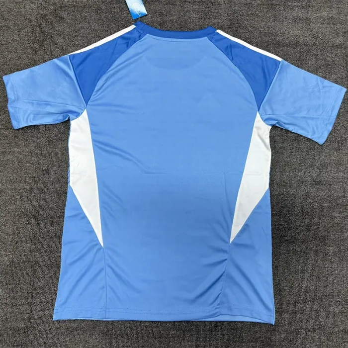25-26 Newcastle Bule Goalkeeper Soccer Jersey