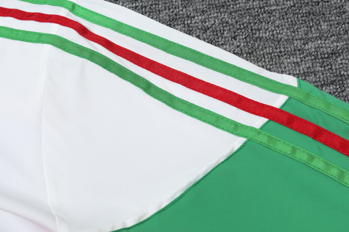 24-25 Mexico White-Green Windbreaker (High Quality)球员