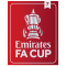 FA CUP (英足总杯7次)