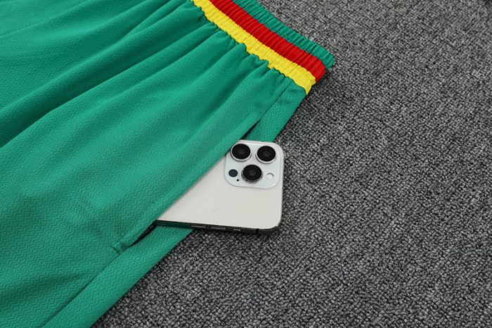 25-26 Cameroon White Training short Suit