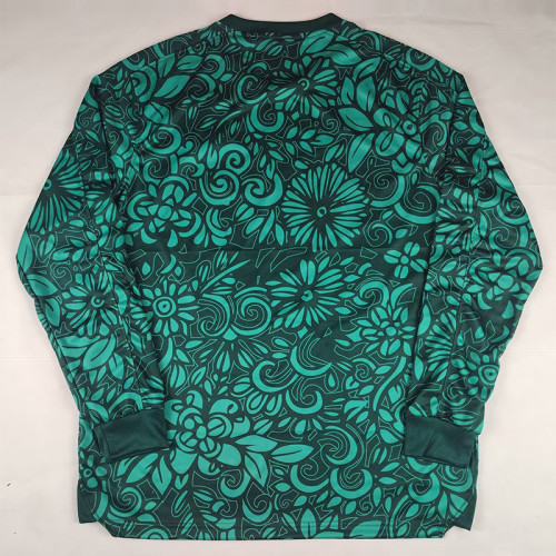 2025-26 Palestina FC Green Long Sleeve Training shirts(阿拉伯文)(长袖）
