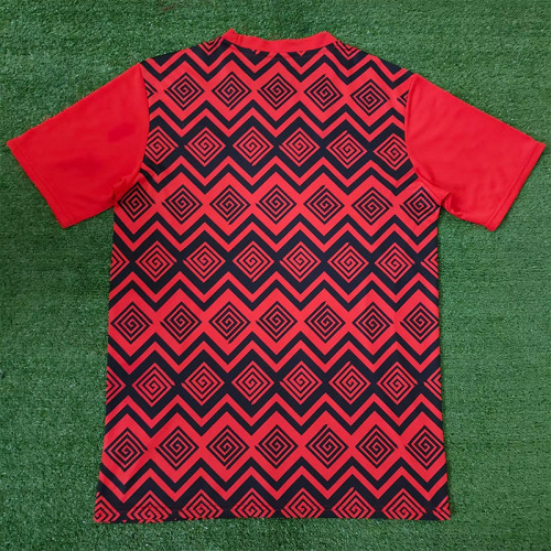 24-25 Egypt Red Training shirts