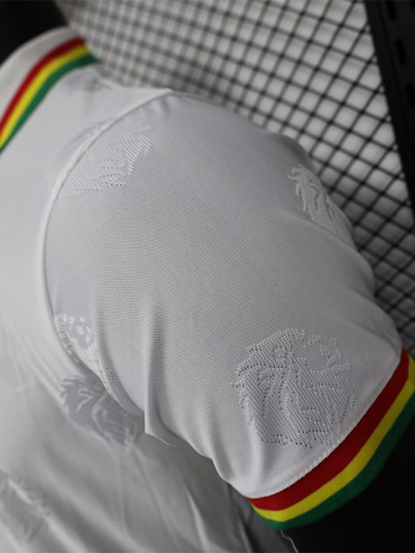24-25 Senegal White Special Edition Player Version Training shirts