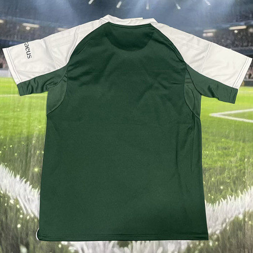 2025-26 Panathinaikos Green Fans Soccer Jersey