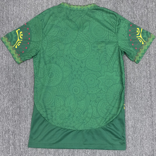 2025-26 Mali Green Fans Soccer Jersey