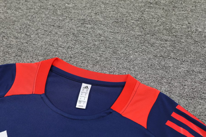 2024 AD Royal blue Training Short Suit