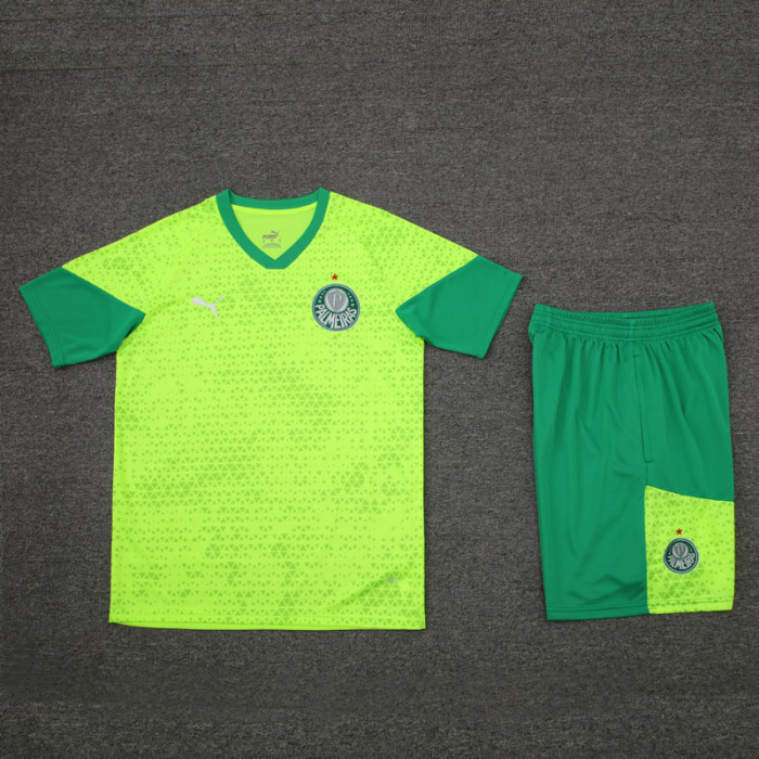 24-25 Palmeiras Fluorescent green Training Short Suit