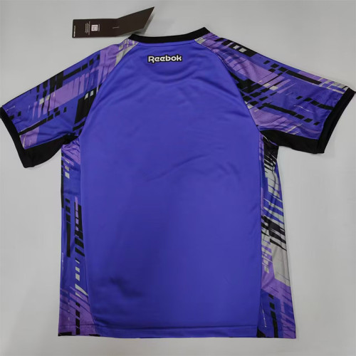 2025-26 Botafogo Purple Goalkeeper Soccer Jersey