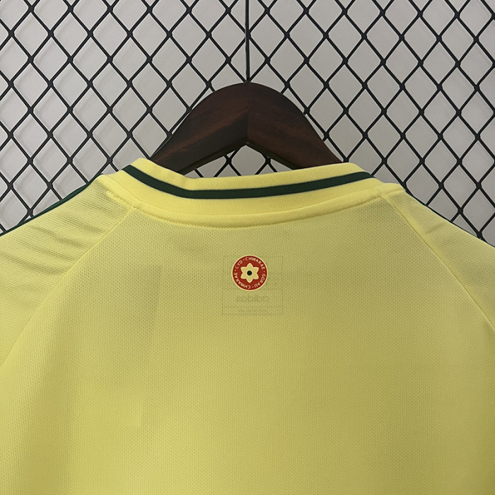 24-25 Wales Away Fans Soccer Jersey