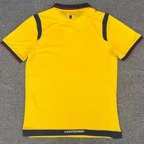 25-26 Ecuador Home Fans Soccer Jersey