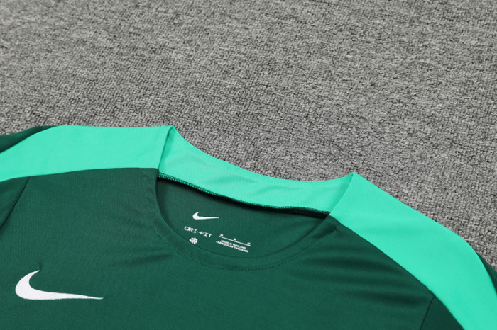 24-25 Portugal Green Training Short Suit