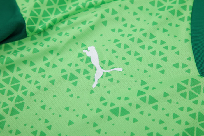 24-25 Palmeiras Light green Training Short Suit