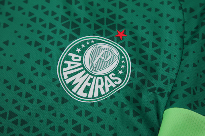 24-25 Palmeiras Green Training Short Suit