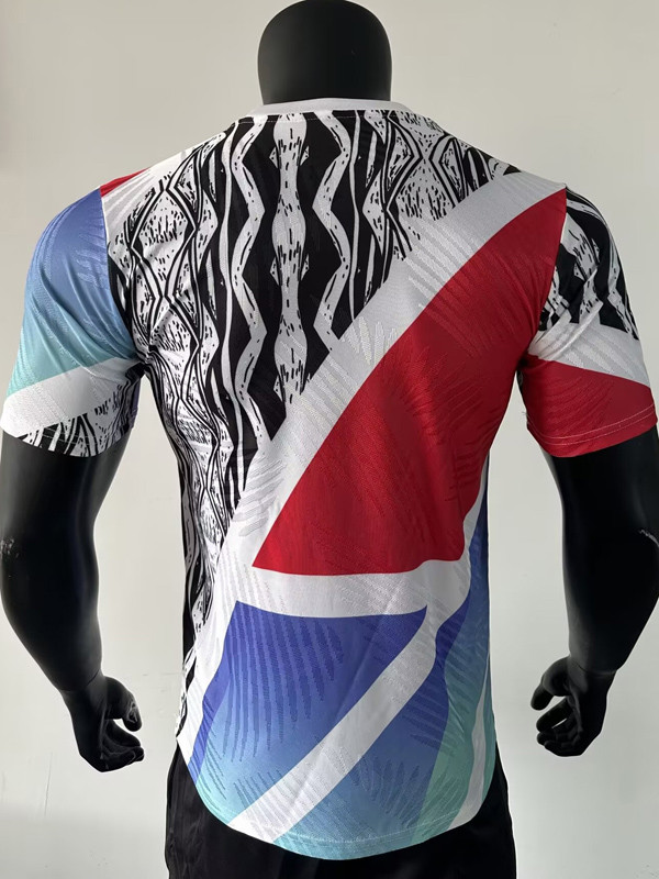 24-25 ARS Blue Red Player Version Training shirts