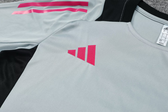 2024 AD Grey Training Short Suit