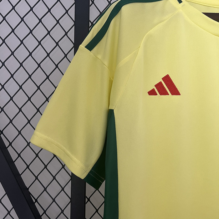24-25 Wales Away Fans Soccer Jersey