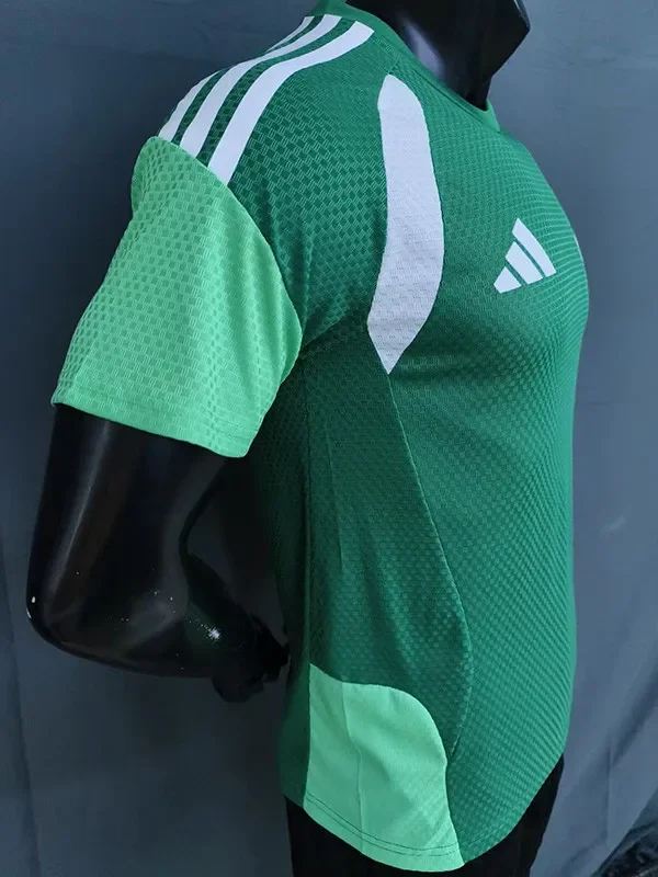 26-27 Algeria Green Player Version Training shirts