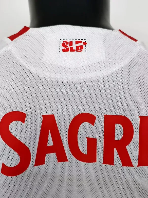 25-26 Benfca Third Player Version Soccer Jersey