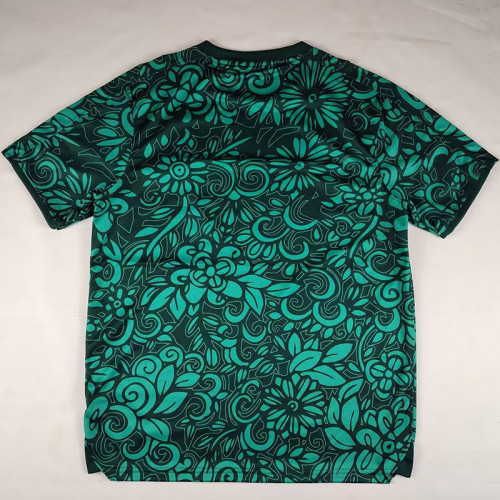 2025-26 Palestina FC Green Training shirts (阿拉伯文）