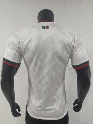 2026 Mexico away jersey