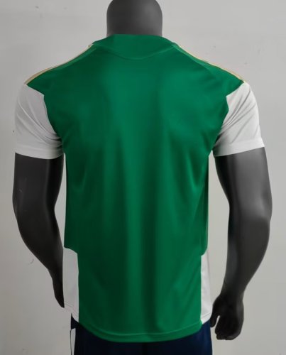 2026 Italian Green Training Shirt