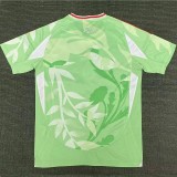 25-26 Italy W Away Fans Soccer Jersey *无星
