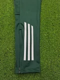 2025-26 Algeria Dark green Training Long Pants