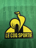 24-25 Cameroon Home Player Version Soccer Jersey