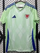2025-26 Wales Away Fans Soccer Jersey