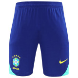 24-25 Brazil Blue Training Shorts Pants