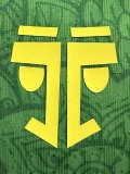 2025-26 Mali Green Player Version Soccer Jersey