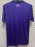24-25 Algeria Purple Special Edition Fans Soccer Jersey