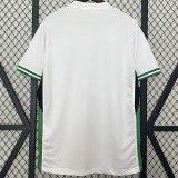 24-25 Nigeria Home Fans Soccer Jersey