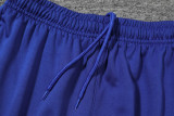 25-26 Brazil Fancy blue Polo Tracksuit