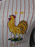 24-25 France Away Long Sleeve Player Version Soccer Jersey (长袖球员)