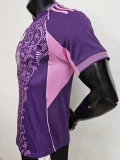 2025-26 Algeria Purple Player Version Training shirts